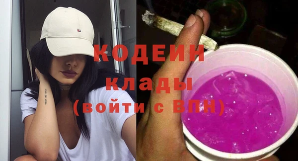 гашик Елизово