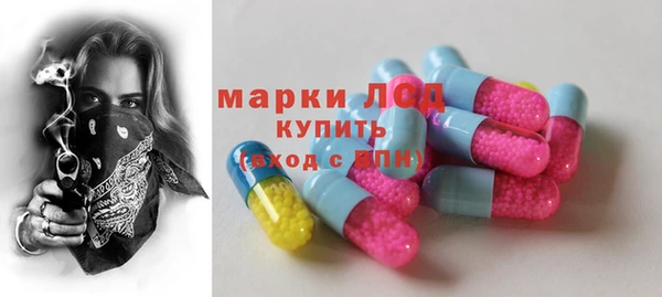 гашик Елизово