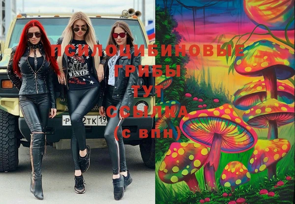 мескалин Ельня
