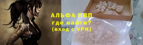 гашик Елизово