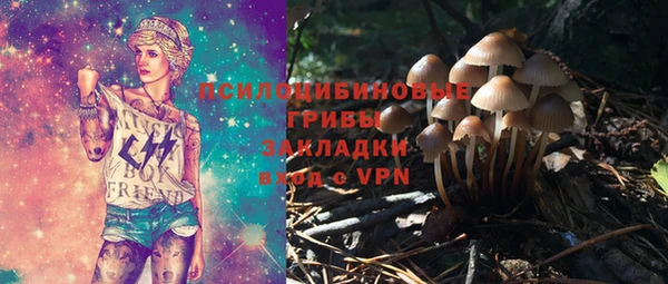 дмт Елабуга