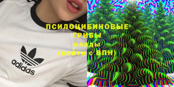гашик Елизово