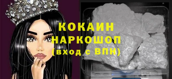 гашик Елизово