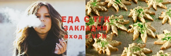 гашик Елизово