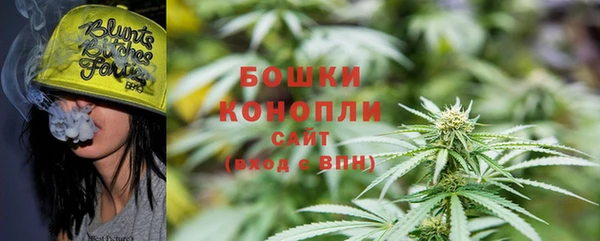 мескалин Ельня
